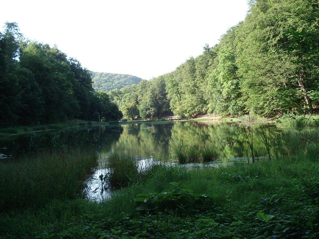 Seoski Turiziam Larva Trenkovo Экстерьер фото